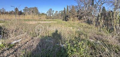 Terrain à Pézilla-la-Rivière en Pyrénées-Orientales (66) de 349 m² à vendre au prix de 98000€ - 4