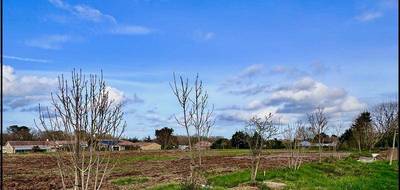 Terrain à Auros en Gironde (33) de 900 m² à vendre au prix de 81000€ - 3