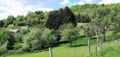 Terrain et maison à Willer-sur-Thur en Haut-Rhin (68) de 500 m² à vendre au prix de 269700€ - 3