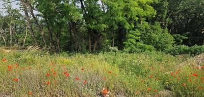 Terrain à Les Tourrettes en Drôme (26) de 857 m² à vendre au prix de 79500€ - 3