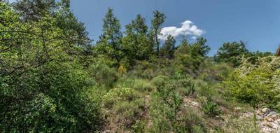 Terrain à Estoublon en Alpes-de-Haute-Provence (04) de 1910 m² à vendre au prix de 104000€ - 3