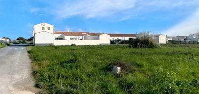 Terrain à Saint-Denis-d'Oléron en Charente-Maritime (17) de 4280 m² à vendre au prix de 828800€ - 3