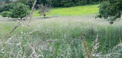 Terrain à Blainville-Crevon en Seine-Maritime (76) de 3500 m² à vendre au prix de 88000€ - 4