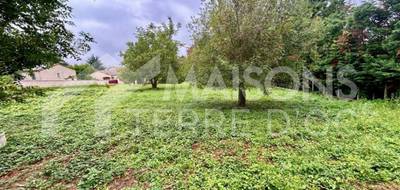 Terrain et maison à Mazamet en Tarn (81) de 1000 m² à vendre au prix de 191800€ - 2