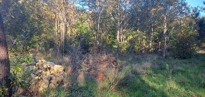 Terrain à Saint-Sauveur en Gironde (33) de 1080 m² à vendre au prix de 60000€ - 1