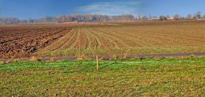 Terrain et maison à Bischwihr en Haut-Rhin (68) de 86 m² à vendre au prix de 290000€ - 3