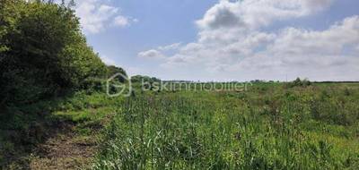 Terrain à Saint-Frégant en Finistère (29) de 1184 m² à vendre au prix de 65000€ - 3