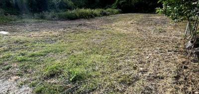 Terrain à Massay en Cher (18) de 1013 m² à vendre au prix de 22500€ - 2