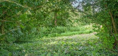 Terrain à Buire-Courcelles en Somme (80) de 7000 m² à vendre au prix de 75000€ - 4