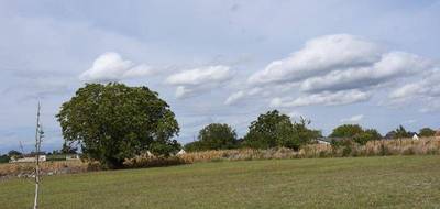 Terrain à La Celle-Saint-Avant en Indre-et-Loire (37) de 7800 m² à vendre au prix de 324500€ - 3