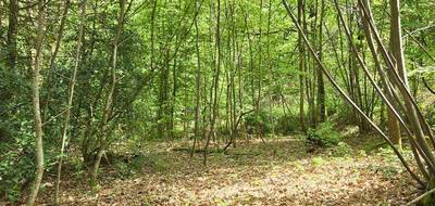 Terrain à Nieul en Haute-Vienne (87) de 4078 m² à vendre au prix de 4500€ - 3
