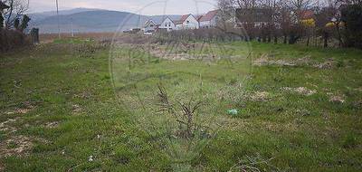 Terrain à Gundolsheim en Haut-Rhin (68) de 1867 m² à vendre au prix de 605000€ - 2