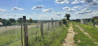 Terrain à Quenne en Yonne (89) de 3383 m² à vendre au prix de 43000€ - 2