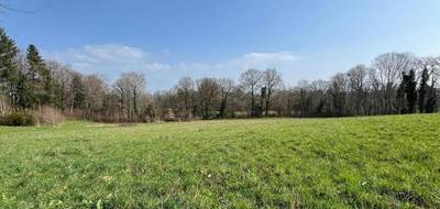Terrain à Royères en Haute-Vienne (87) de 1535 m² à vendre au prix de 39000€ - 1