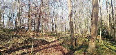 Terrain à Arrest en Somme (80) de 4250 m² à vendre au prix de 23000€ - 1