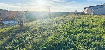 Terrain à Tressan en Hérault (34) de 440 m² à vendre au prix de 110000€ - 4