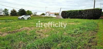 Terrain à Saint-Pierre-d'Oléron en Charente-Maritime (17) de 400 m² à vendre au prix de 159000€ - 1
