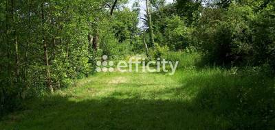Terrain à Saint-Piat en Eure-et-Loir (28) de 73790 m² à vendre au prix de 1870000€ - 4