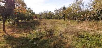 Terrain à Béruges en Vienne (86) de 985 m² à vendre au prix de 62700€ - 2