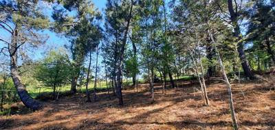 Terrain à Boulazac Isle Manoire en Dordogne (24) de 6721 m² à vendre au prix de 79000€ - 2