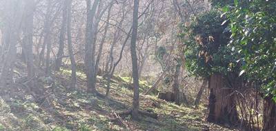 Terrain à Ville-di-Paraso en Haute-Corse (2B) de 1361 m² à vendre au prix de 111600€ - 4