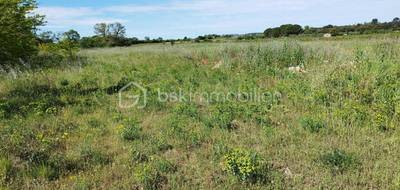 Terrain à Saint-Jean-de-Fos en Hérault (34) de 11536 m² à vendre au prix de 45000€ - 3