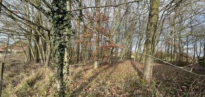 Terrain à Vendhuile en Aisne (02) de 1000 m² à vendre au prix de 30000€ - 1