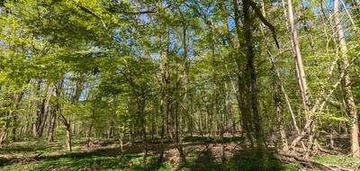 Terrain à Guignes en Seine-et-Marne (77) de 7253 m² à vendre au prix de 23500€ - 2