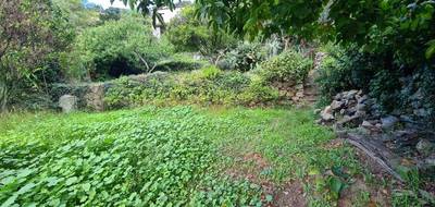 Terrain à Occhiatana en Haute-Corse (2B) de 585 m² à vendre au prix de 108000€ - 4