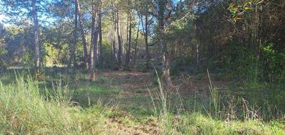 Terrain à Saint-Sauveur en Gironde (33) de 1080 m² à vendre au prix de 60000€ - 2
