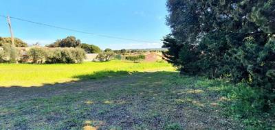 Terrain à Roquemaure en Gard (30) de 2190 m² à vendre au prix de 387000€ - 2
