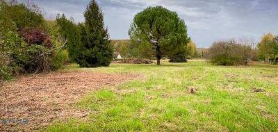 Terrain à Clion en Indre (36) de 4617 m² à vendre au prix de 39000€ - 2