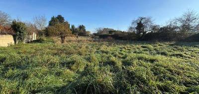 Terrain à Les Rairies en Maine-et-Loire (49) de 3241 m² à vendre au prix de 32500€ - 1