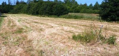 Terrain à Guémené-sur-Scorff en Morbihan (56) de 4181 m² à vendre au prix de 41103€ - 3