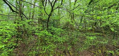 Terrain à Tulle en Corrèze (19) de 12706 m² à vendre au prix de 35590€ - 1