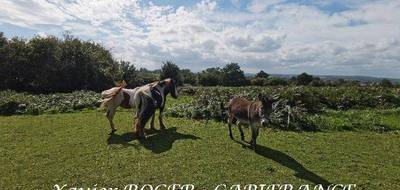 Terrain à Aubusson en Orne (61) de 3000 m² à vendre au prix de 54600€ - 1