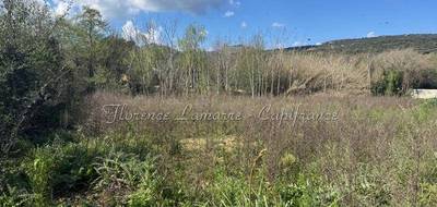 Terrain à Speloncato en Haute-Corse (2B) de 1980 m² à vendre au prix de 346500€ - 1
