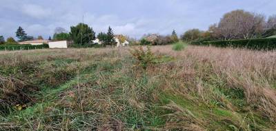 Terrain à Saint-Léon-sur-l'Isle en Dordogne (24) de 2284 m² à vendre au prix de 29000€ - 1