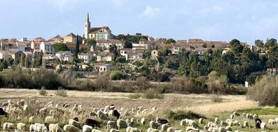 Terrain à Ouveillan en Aude (11) de 730 m² à vendre au prix de 129600€ - 1