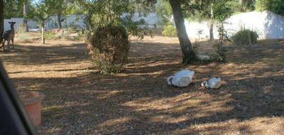 Terrain à Boisseron en Hérault (34) de 740 m² à vendre au prix de 217000€ - 1