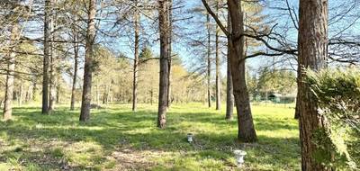Terrain à Tigy en Loiret (45) de 6260 m² à vendre au prix de 105000€ - 3