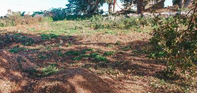 Terrain à Pleumeur-Bodou en Côtes-d'Armor (22) de 1604 m² à vendre au prix de 263000€ - 2