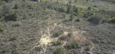 Terrain à Limoux en Aude (11) de 7064 m² à vendre au prix de 66000€ - 3