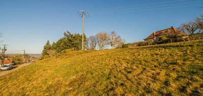Terrain à Sainte-Fortunade en Corrèze (19) de 2000 m² à vendre au prix de 29000€ - 4