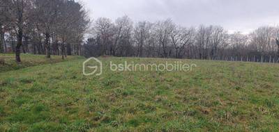 Terrain à Duhort-Bachen en Landes (40) de 2210 m² à vendre au prix de 65000€ - 1