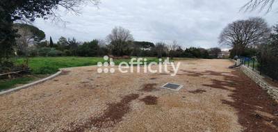 Terrain à Villevieille en Gard (30) de 1082 m² à vendre au prix de 217000€ - 4