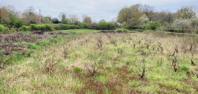 Terrain à Lessac en Charente (16) de 3721 m² à vendre au prix de 13000€ - 4