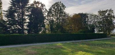 Terrain à Vernou-la-Celle-sur-Seine en Seine-et-Marne (77) de 1171 m² à vendre au prix de 97000€ - 2