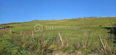Terrain à Saint-Germain-Lembron en Puy-de-Dôme (63) de 2460 m² à vendre au prix de 50000€ - 2