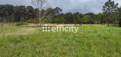 Terrain à Tosse en Landes (40) de 650 m² à vendre au prix de 288750€ - 1